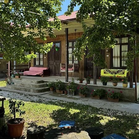 Martvili Guest House Oasis Экстерьер фото