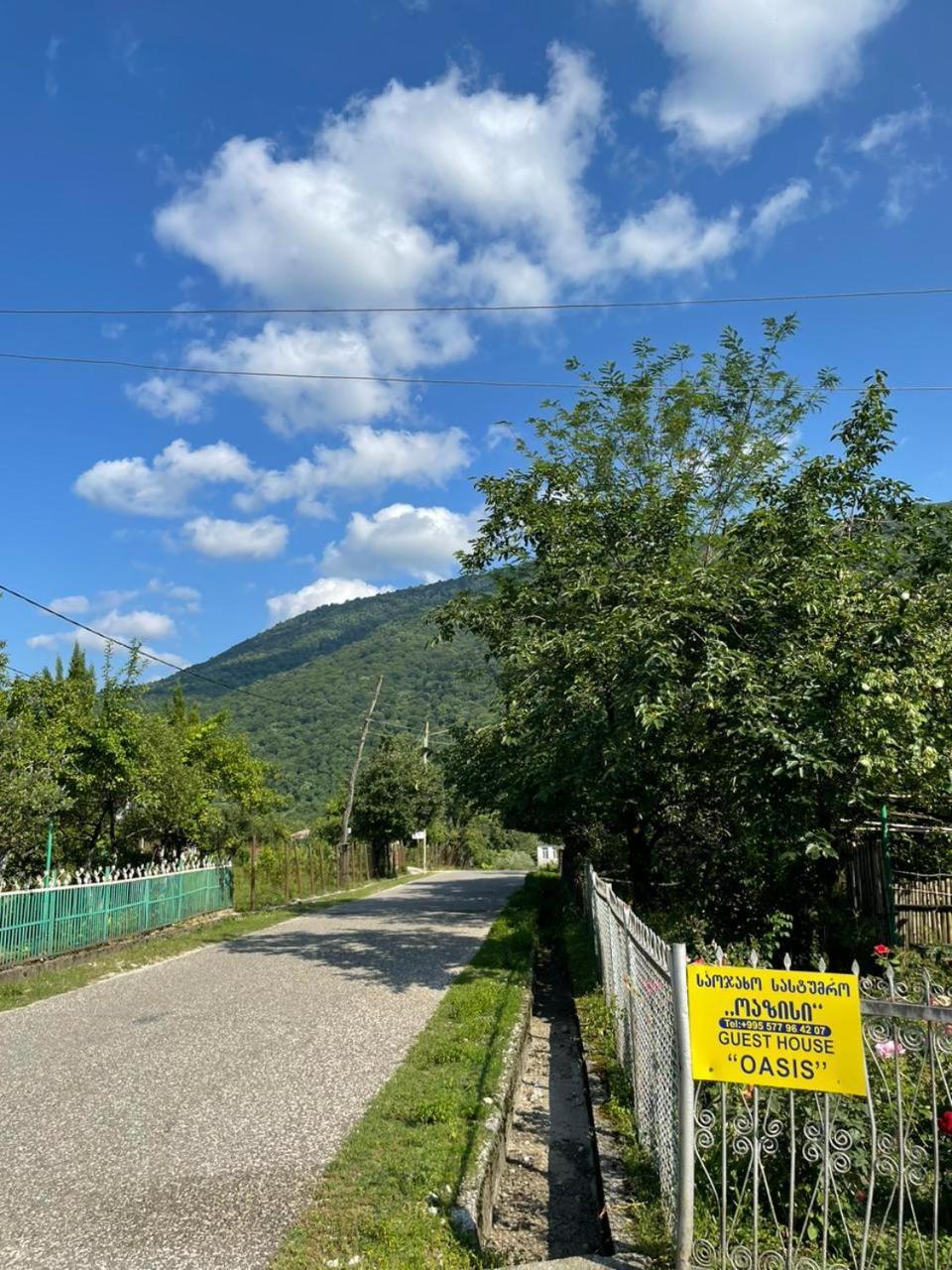 Martvili Guest House Oasis Экстерьер фото