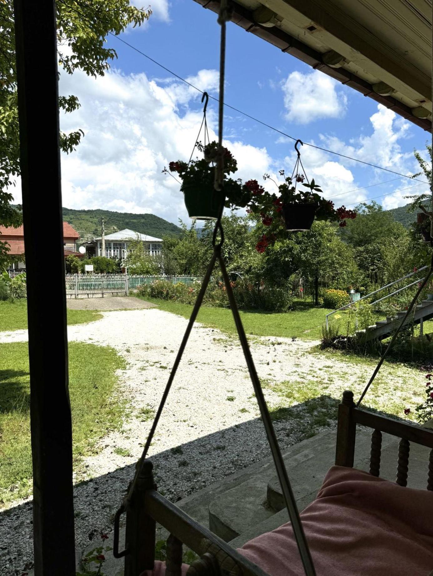 Martvili Guest House Oasis Экстерьер фото
