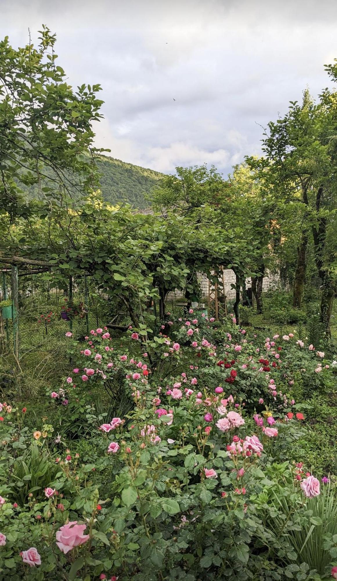 Martvili Guest House Oasis Экстерьер фото
